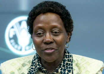 聯合國環境規劃署副執行主任（圖：casablancafinancecity）